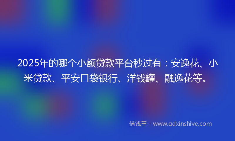 2025年的哪个小额贷款平台秒过有：安逸花、小米贷款、平安口袋银行、洋钱罐、融逸花等。