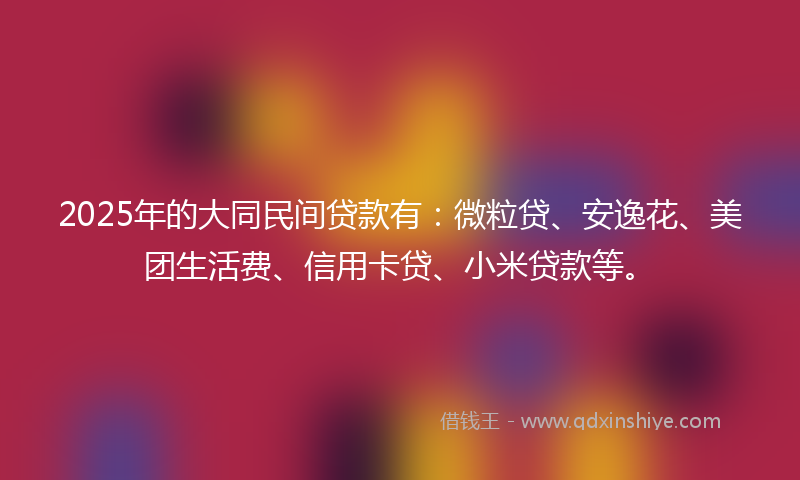 2025年的大同民间贷款有：微粒贷、安逸花、美团生活费、信用卡贷、小米贷款等。