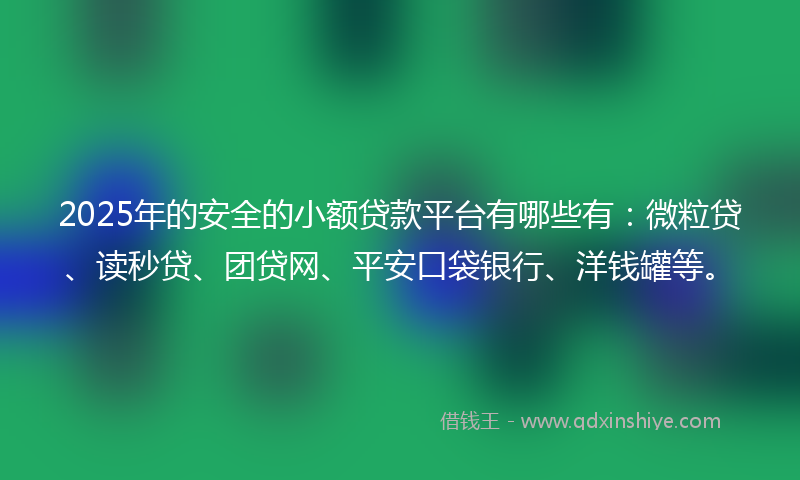 2025年的安全的小额贷款平台有哪些有：微粒贷、读秒贷、团贷网、平安口袋银行、洋钱罐等。