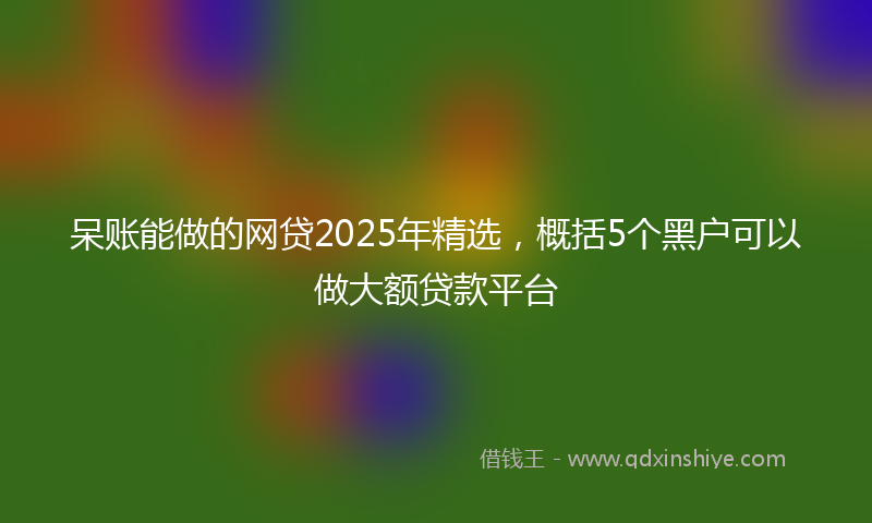 呆账能做的网贷2025年精选，概括5个黑户可以做大额贷款平台