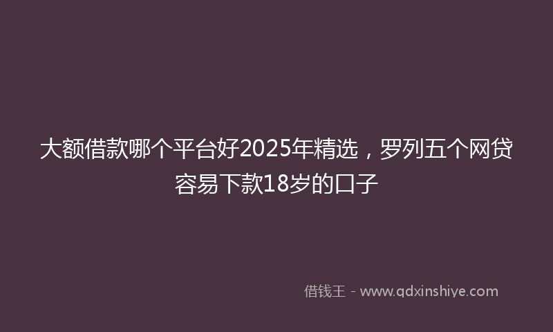 大额借款哪个平台好2025年精选，罗列五个网贷容易下款18岁的口子
