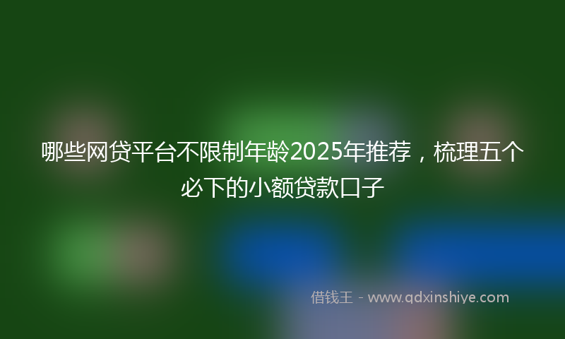 哪些网贷平台不限制年龄2025年推荐，梳理五个必下的小额贷款口子