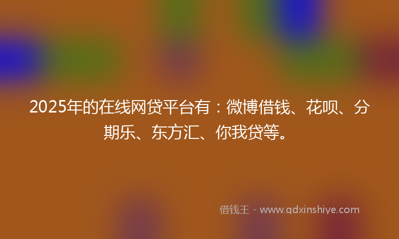 2025年的在线网贷平台有：微博借钱、花呗、分期乐、东方汇、你我贷等。