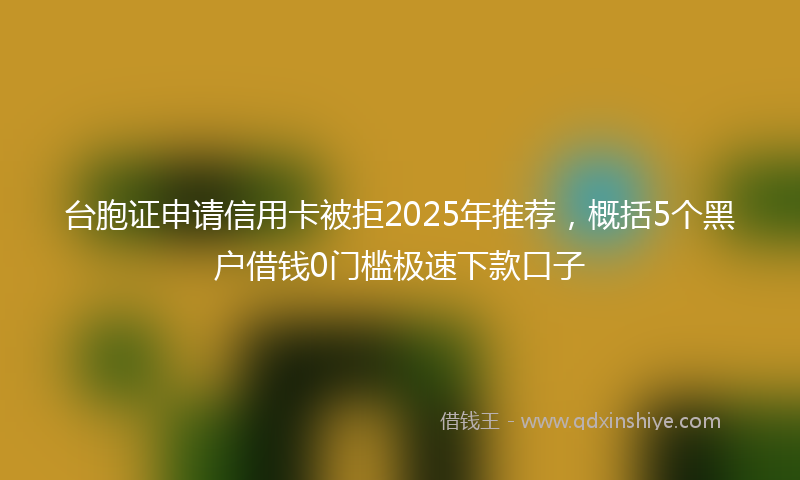 台胞证申请信用卡被拒2025年推荐，概括5个黑户借钱0门槛极速下款口子