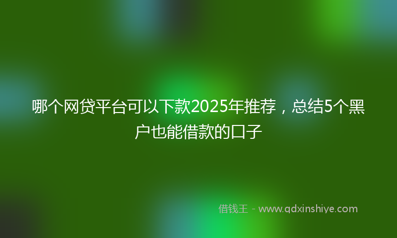 哪个网贷平台可以下款2025年推荐，总结5个黑户也能借款的口子