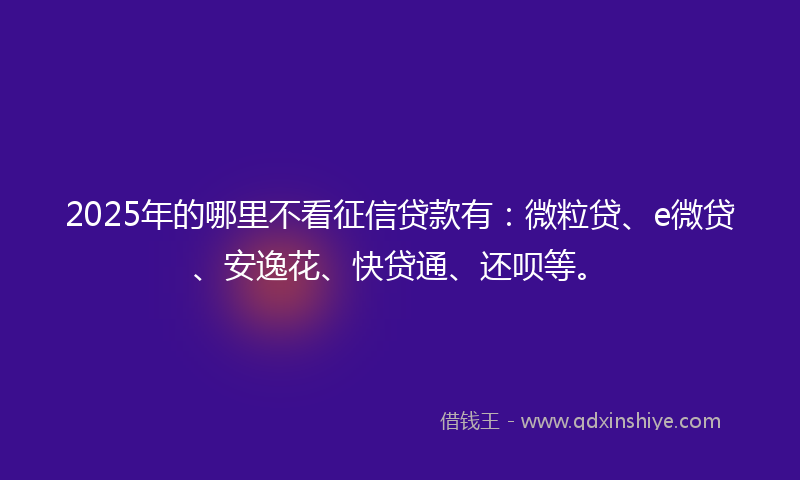 2025年的哪里不看征信贷款有：微粒贷、e微贷、安逸花、快贷通、还呗等。