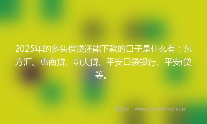 2025年的多头借贷还能下款的口子是什么有：东方汇、惠商贷、功夫贷、平安口袋银行、平安i贷等。