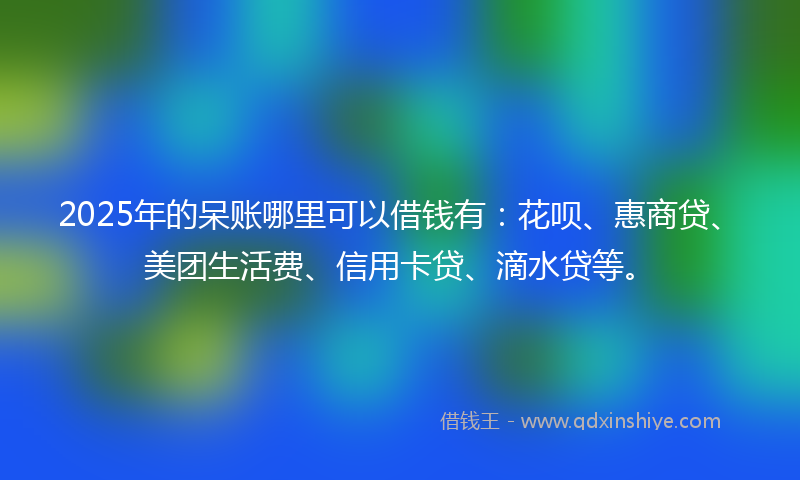 2025年的呆账哪里可以借钱有：花呗、惠商贷、美团生活费、信用卡贷、滴水贷等。