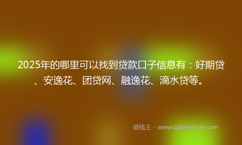 2025年的哪里可以找到贷款口子信息有：好期贷、安逸花、团贷网、融逸花、滴水贷等。