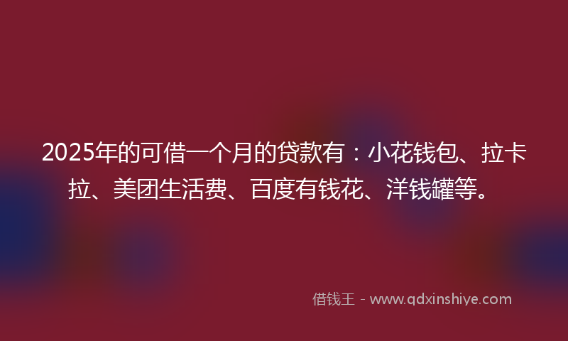 2025年的可借一个月的贷款有：小花钱包、拉卡拉、美团生活费、百度有钱花、洋钱罐等。