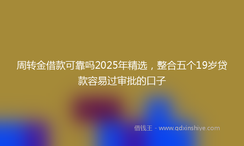 周转金借款可靠吗2025年精选，整合五个19岁贷款容易过审批的口子