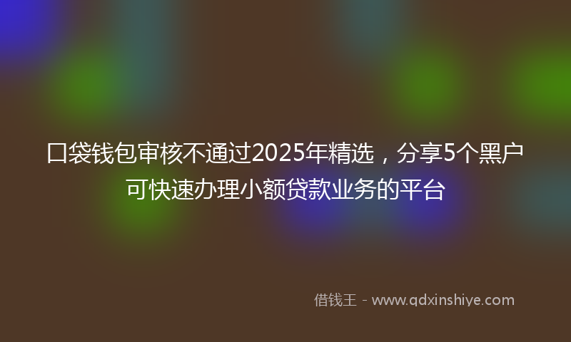 口袋钱包审核不通过2025年精选，分享5个黑户可快速办理小额贷款业务的平台