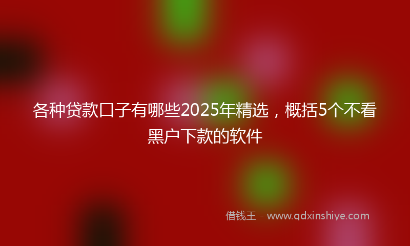 各种贷款口子有哪些2025年精选，概括5个不看黑户下款的软件