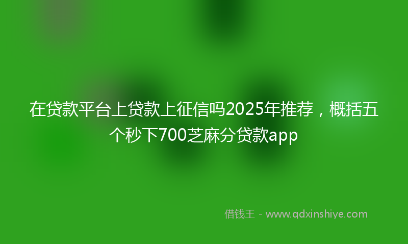 在贷款平台上贷款上征信吗2025年推荐，概括五个秒下700芝麻分贷款app