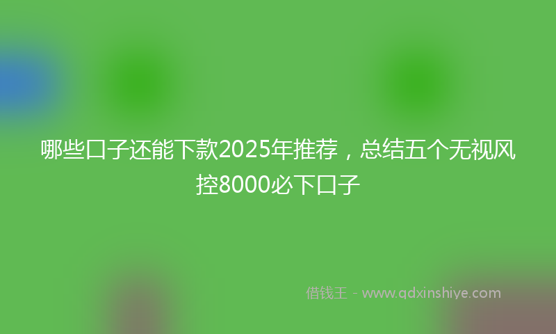 哪些口子还能下款2025年推荐，总结五个无视风控8000必下口子