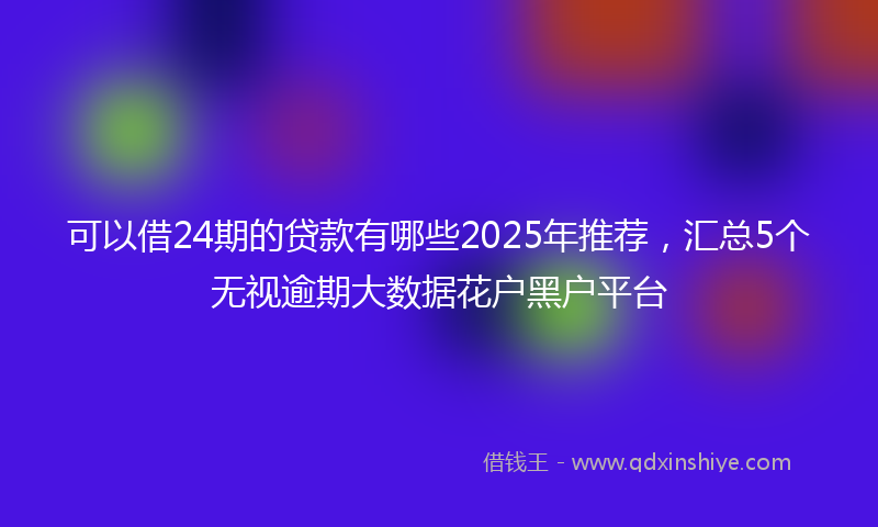 可以借24期的贷款有哪些2025年推荐，汇总5个无视逾期大数据花户黑户平台