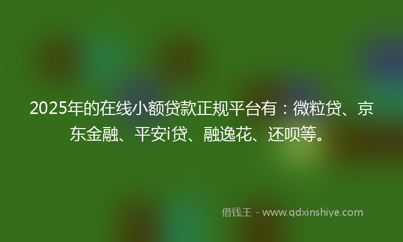 2025年的在线小额贷款正规平台有：微粒贷、京东金融、平安i贷、融逸花、还呗等。