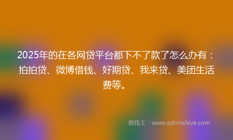 2025年的在各网贷平台都下不了款了怎么办有：拍拍贷、微博借钱、好期贷、我来贷、美团生活费等。