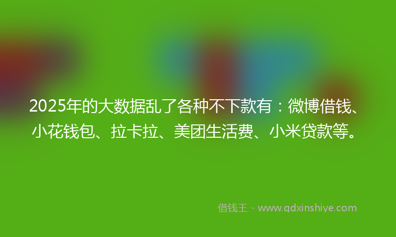 2025年的大数据乱了各种不下款有：微博借钱、小花钱包、拉卡拉、美团生活费、小米贷款等。