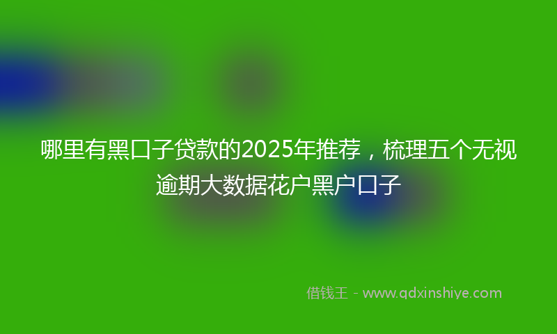 哪里有黑口子贷款的2025年推荐，梳理五个无视逾期大数据花户黑户口子