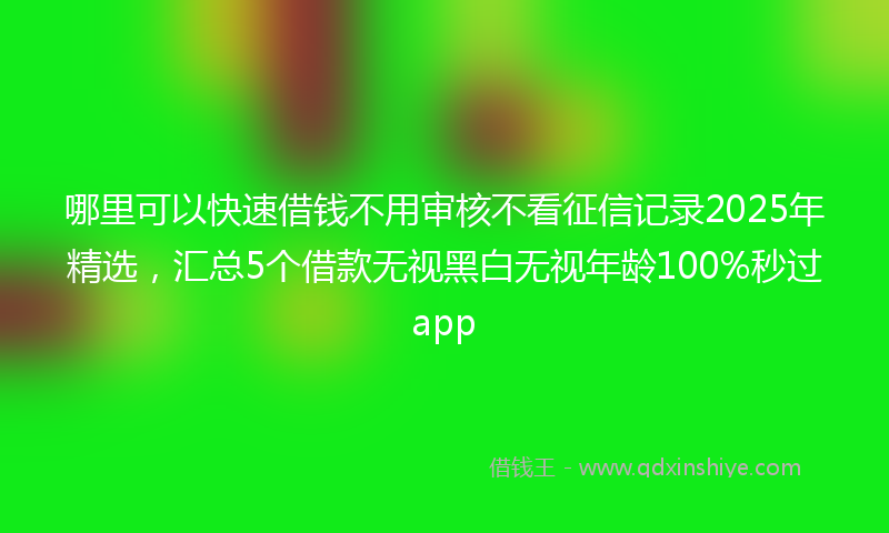 哪里可以快速借钱不用审核不看征信记录2025年精选，汇总5个借款无视黑白无视年龄100%秒过app