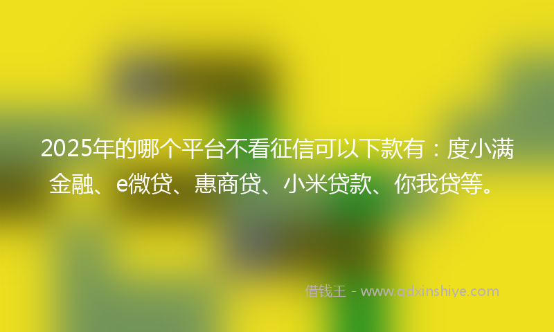 2025年的哪个平台不看征信可以下款有：度小满金融、e微贷、惠商贷、小米贷款、你我贷等。