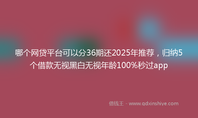 哪个网贷平台可以分36期还2025年推荐，归纳5个借款无视黑白无视年龄100%秒过app