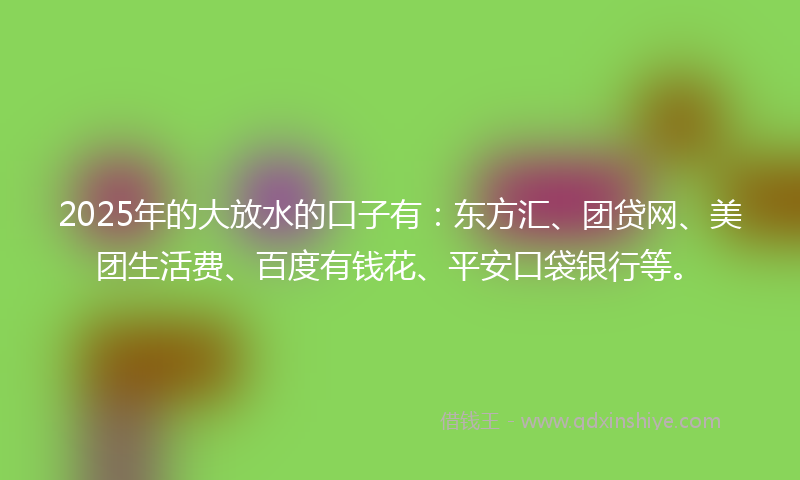2025年的大放水的口子有：东方汇、团贷网、美团生活费、百度有钱花、平安口袋银行等。