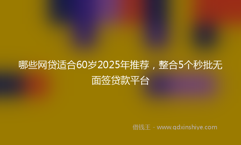 哪些网贷适合60岁2025年推荐，整合5个秒批无面签贷款平台