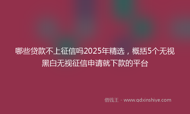 哪些贷款不上征信吗2025年精选，概括5个无视黑白无视征信申请就下款的平台