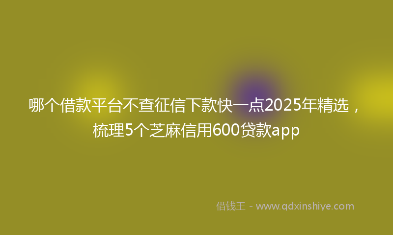 哪个借款平台不查征信下款快一点2025年精选，梳理5个芝麻信用600贷款app