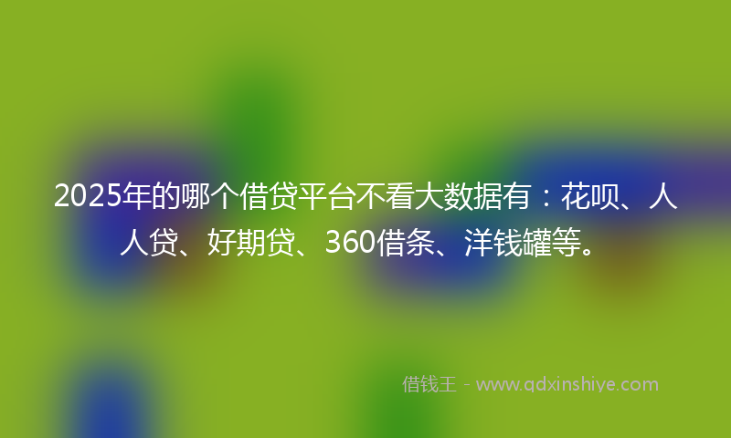 2025年的哪个借贷平台不看大数据有：花呗、人人贷、好期贷、360借条、洋钱罐等。