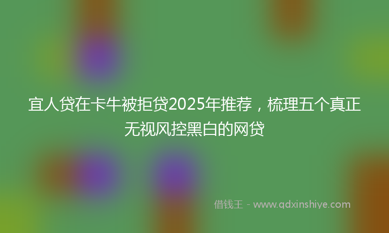 宜人贷在卡牛被拒贷2025年推荐，梳理五个真正无视风控黑白的网贷