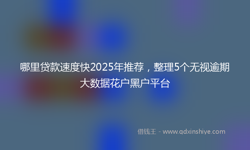 哪里贷款速度快2025年推荐，整理5个无视逾期大数据花户黑户平台