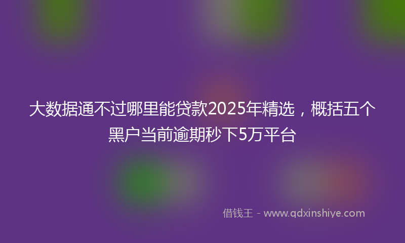 大数据通不过哪里能贷款2025年精选，概括五个黑户当前逾期秒下5万平台