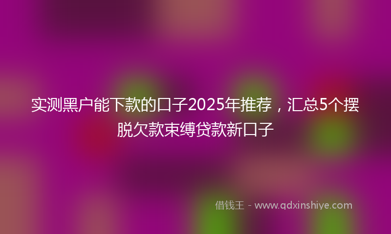 实测黑户能下款的口子2025年推荐，汇总5个摆脱欠款束缚贷款新口子