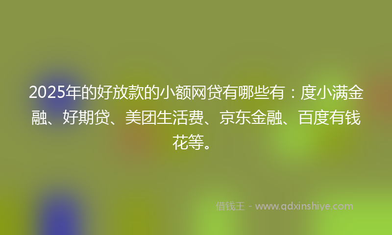 2025年的好放款的小额网贷有哪些有：度小满金融、好期贷、美团生活费、京东金融、百度有钱花等。