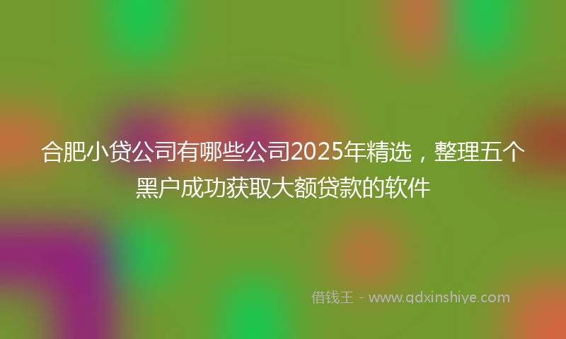 合肥小贷公司有哪些公司2025年精选，整理五个黑户成功获取大额贷款的软件