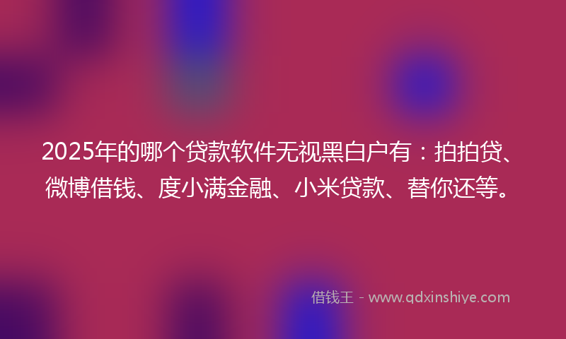 2025年的哪个贷款软件无视黑白户有：拍拍贷、微博借钱、度小满金融、小米贷款、替你还等。