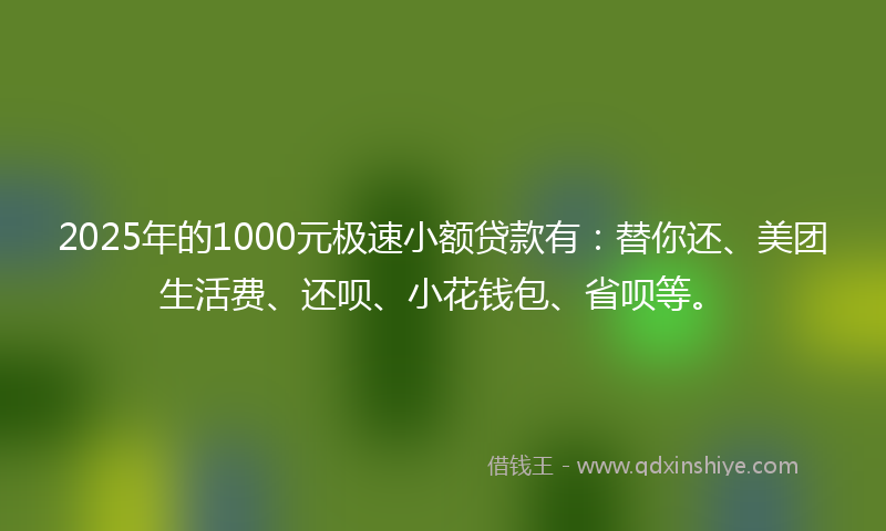 2025年的1000元极速小额贷款有：替你还、美团生活费、还呗、小花钱包、省呗等。