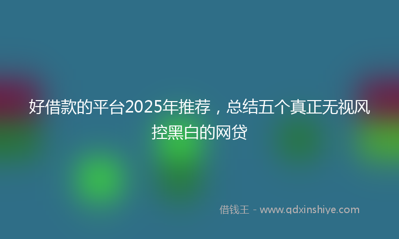 好借款的平台2025年推荐，总结五个真正无视风控黑白的网贷