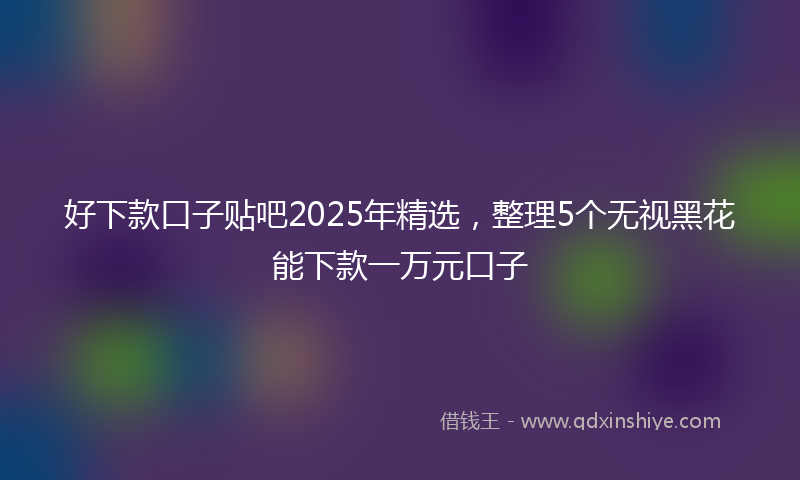 好下款口子贴吧2025年精选，整理5个无视黑花能下款一万元口子