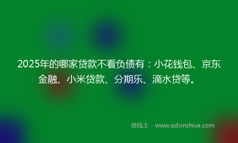 2025年的哪家贷款不看负债有：小花钱包、京东金融、小米贷款、分期乐、滴水贷等。