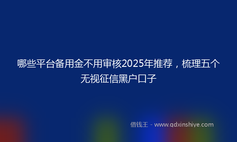 哪些平台备用金不用审核2025年推荐，梳理五个无视征信黑户口子