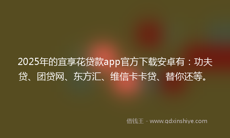2025年的宜享花贷款app官方下载安卓有：功夫贷、团贷网、东方汇、维信卡卡贷、替你还等。