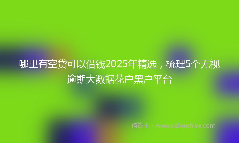 哪里有空贷可以借钱2025年精选，梳理5个无视逾期大数据花户黑户平台