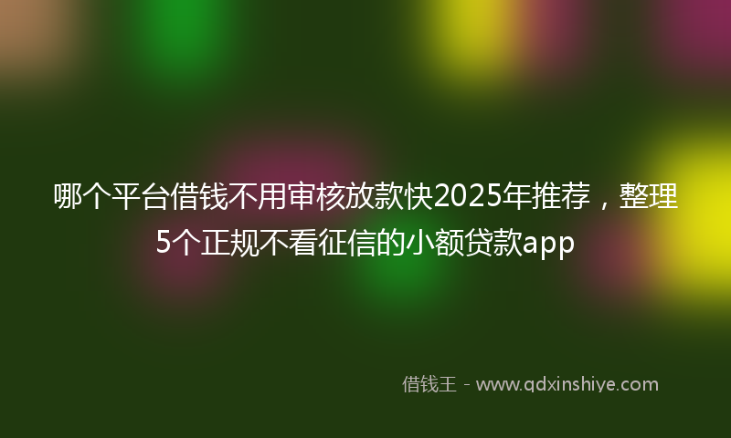 哪个平台借钱不用审核放款快2025年推荐，整理5个正规不看征信的小额贷款app