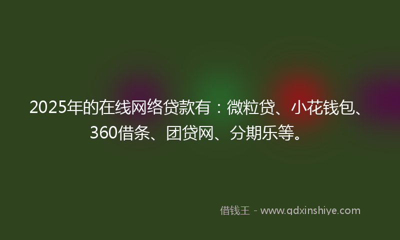 2025年的在线网络贷款有：微粒贷、小花钱包、360借条、团贷网、分期乐等。