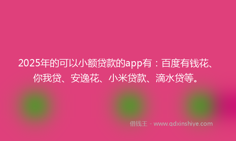 2025年的可以小额贷款的app有：百度有钱花、你我贷、安逸花、小米贷款、滴水贷等。