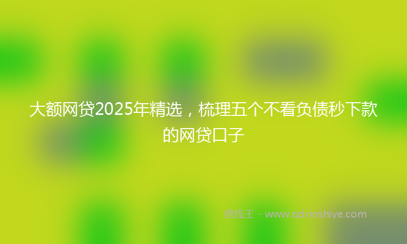 大额网贷2025年精选，梳理五个不看负债秒下款的网贷口子